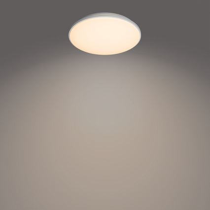 Philips - LED Hämardatav laevalgusti LED/40W/230V 2700-6500K + kaugjuhtimispult