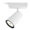 Philips - LED Kohtvalgusti 1xGU10/10W/230V