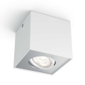 Philips - LED Kohtvalgusti 1xLED/4,5W/230V