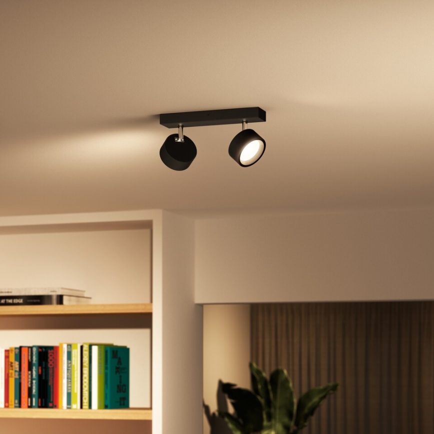 Philips - LED Kohtvalgusti 2xLED/5,5W/230V must