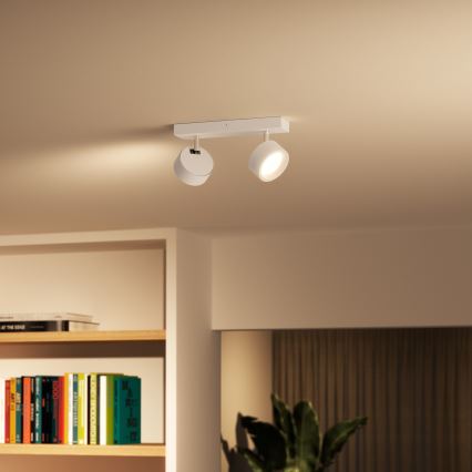 Philips - LED Kohtvalgusti 2xLED/5,5W/230V valge