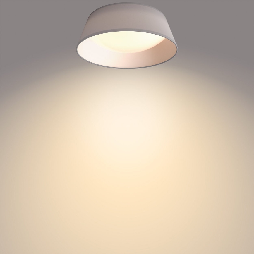Philips - LED Laevalgusti LED/14W/230V hall