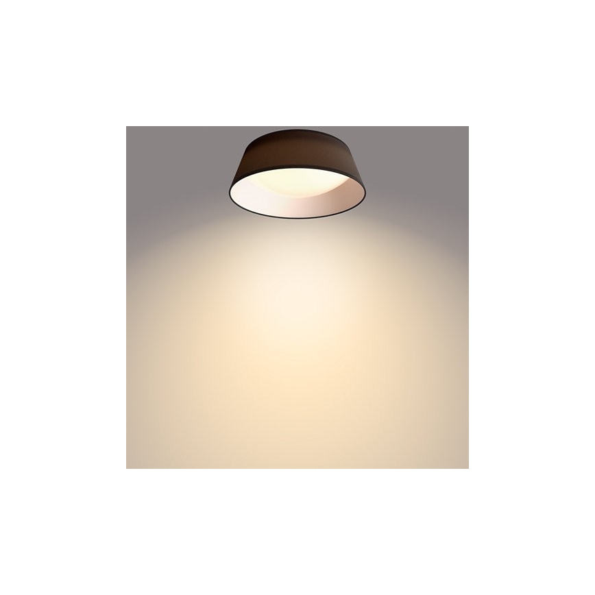 Philips - LED Laevalgusti LED/14W/230V must