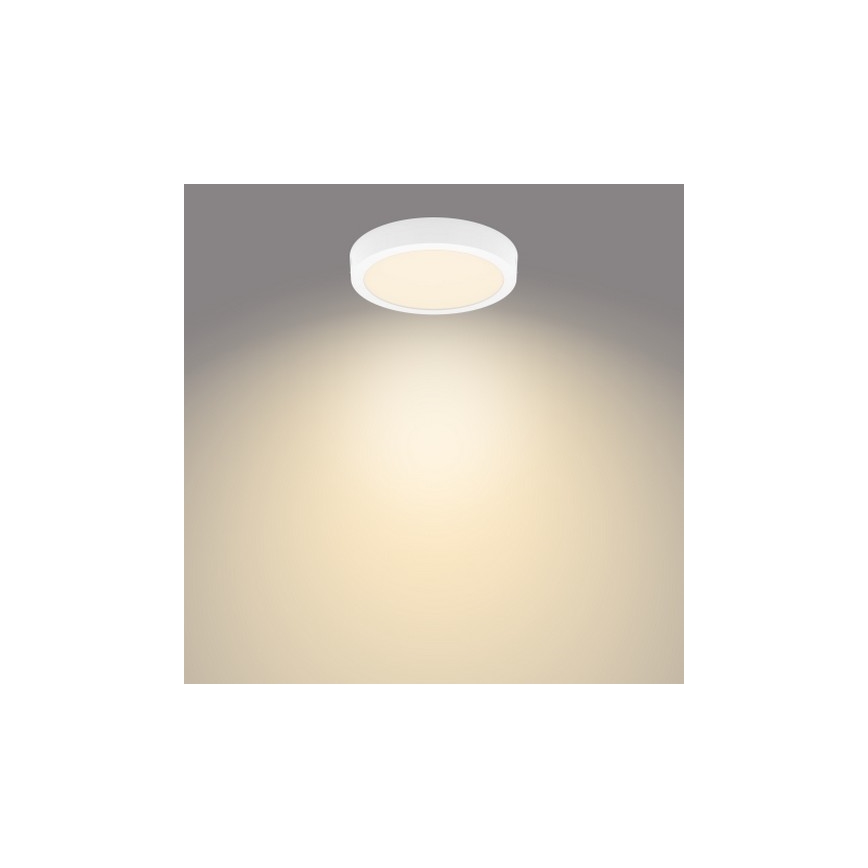 Philips - LED Laevalgusti MAGNEOS LED/12W/230V 2700K valge