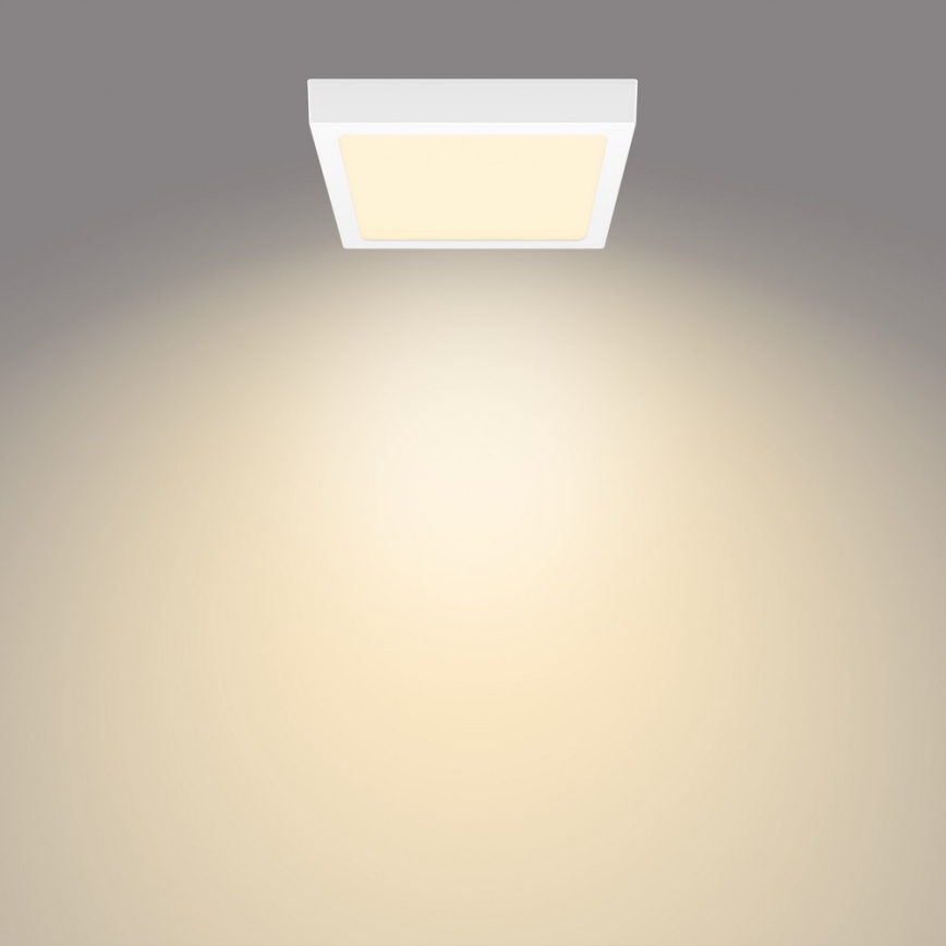 Philips - LED Laevalgusti MAGNEOS LED/12W/230V 2700K valge