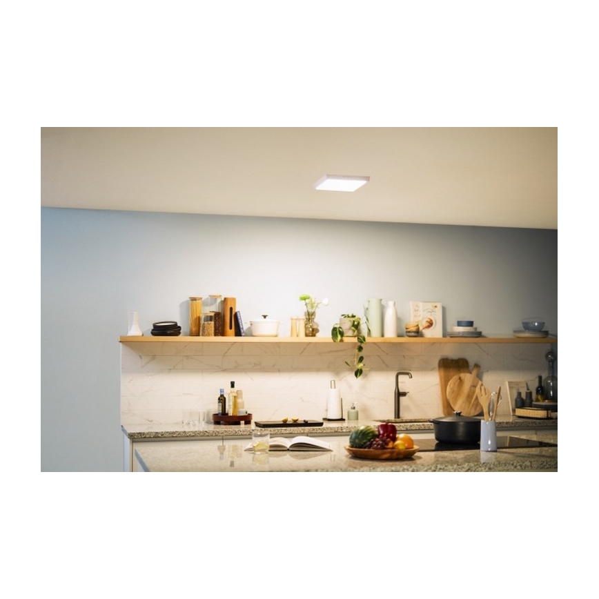 Philips - LED Laevalgusti MAGNEOS LED/12W/230V 2700K valge