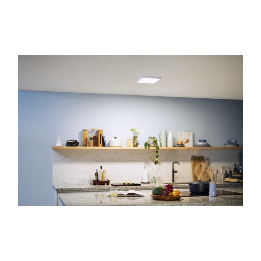 Philips - LED Laevalgusti MAGNEOS LED/12W/230V 4000K valge