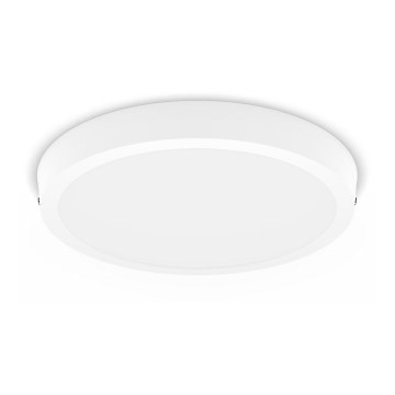 Philips - LED Laevalgusti MAGNEOS LED/20W/230V 2700K valge