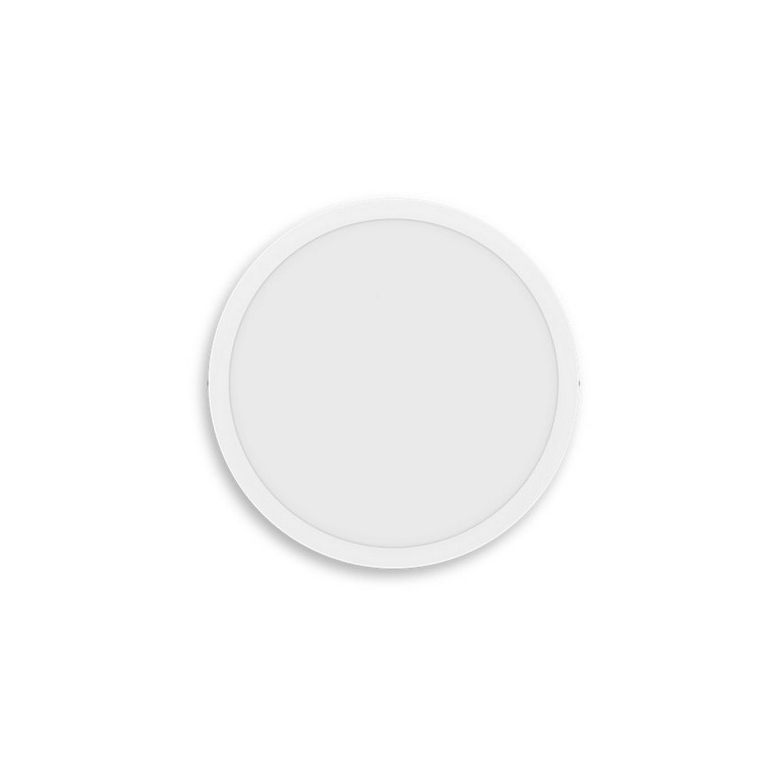 Philips - LED Laevalgusti MAGNEOS LED/20W/230V 2700K valge