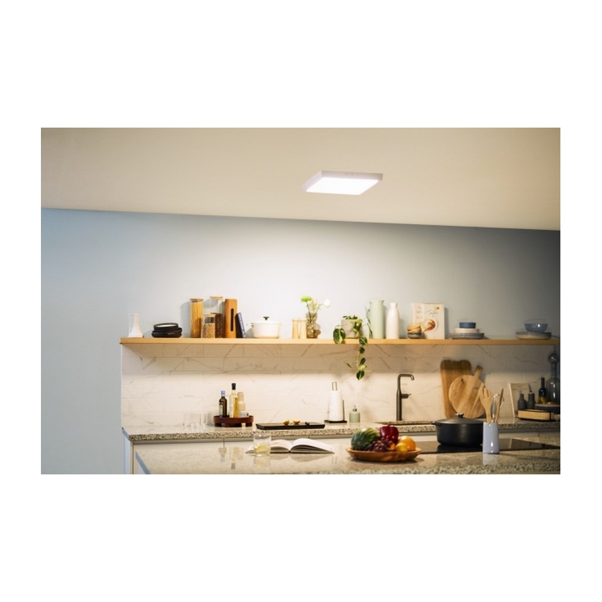 Philips - LED Laevalgusti MAGNEOS LED/20W/230V 2700K valge