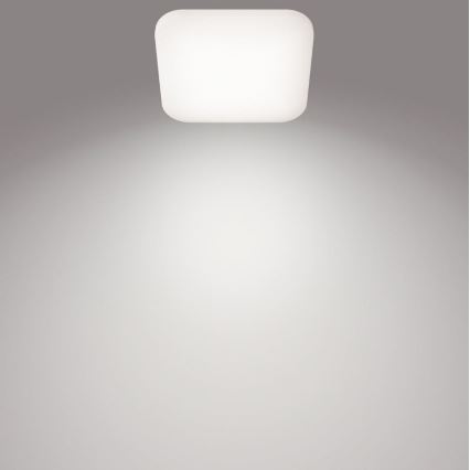 Philips - LED Laevalgusti LED/12W/230V 4000K