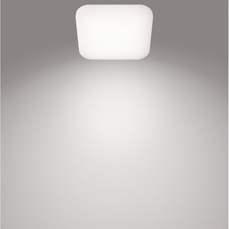 Philips - LED Laevalgusti LED/12W/230V 4000K