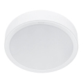 Philips - LED Laevalgusti MESON LED/23,5W/230V 3000K