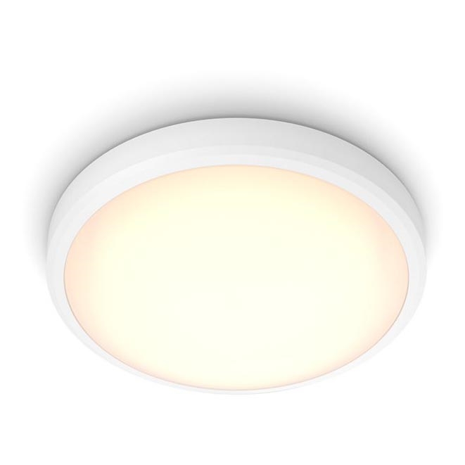 Philips - LED Laevalgusti vannituppa BALANCE LED/17W/230V IP44