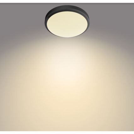 Philips - LED Laevalgusti vannituppa DORIS LED/6W/230V IP44