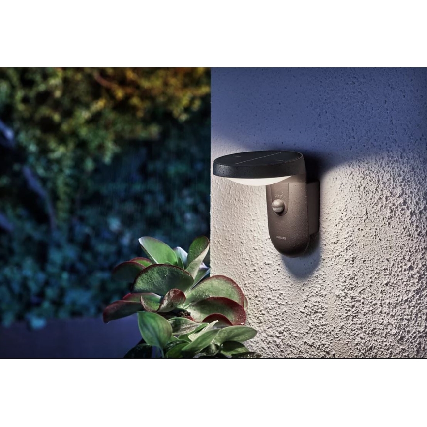Philips - LED Päikesepaneeliga seinavalgusti koos anduriga LED/1,2W/4V 1800 mAh 4000K IP44