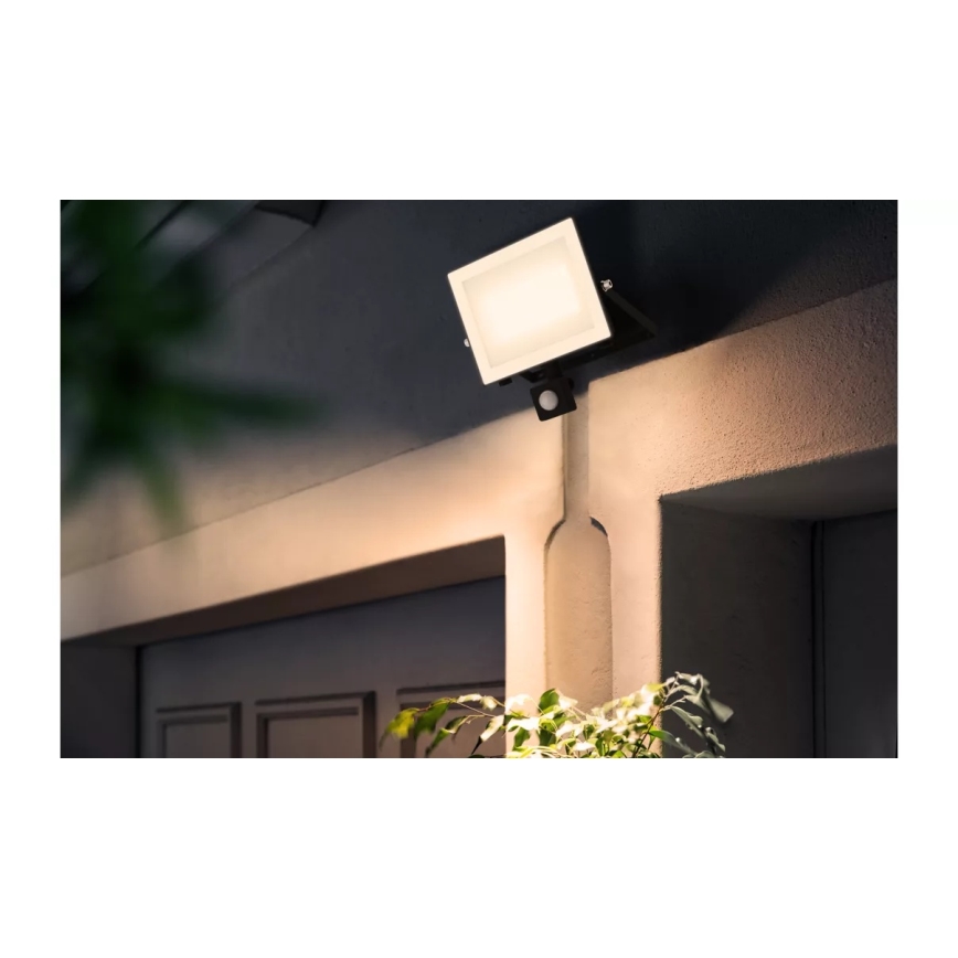 Philips - LED prožektor and sensoriga LOIS LED/50W/230V IP65 3000K