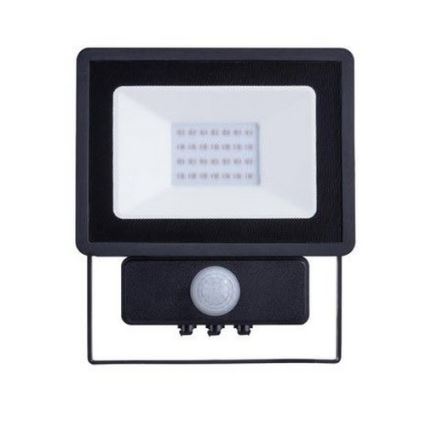 Philips - LED Prožektor anduriga DECOFLOOD LED/20W/230V IP65