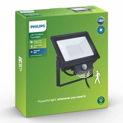 Philips - LED Prožektor anduriga DECOFLOOD LED/20W/230V IP65