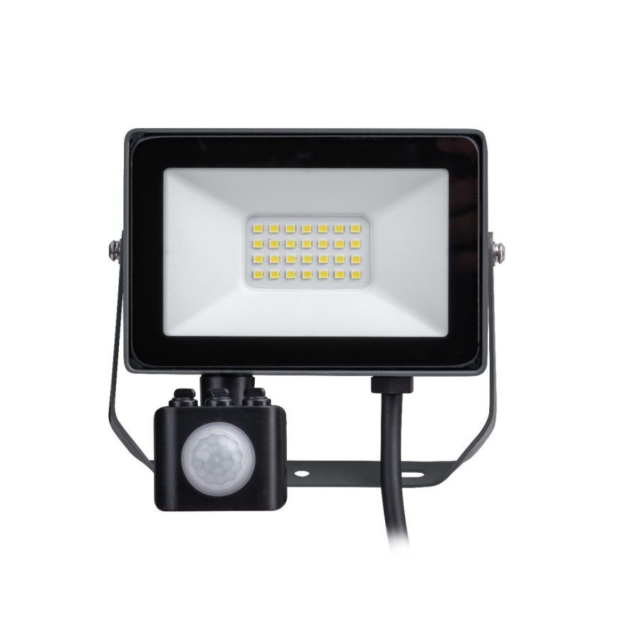 Philips - LED Prožektor anduriga DECOFLOOD LED/20W/230V IP65