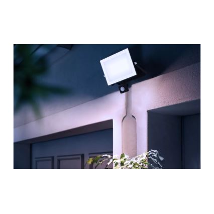 Philips - LED Prožektor anduriga LOIS LED/50W/230V IP65 5000K