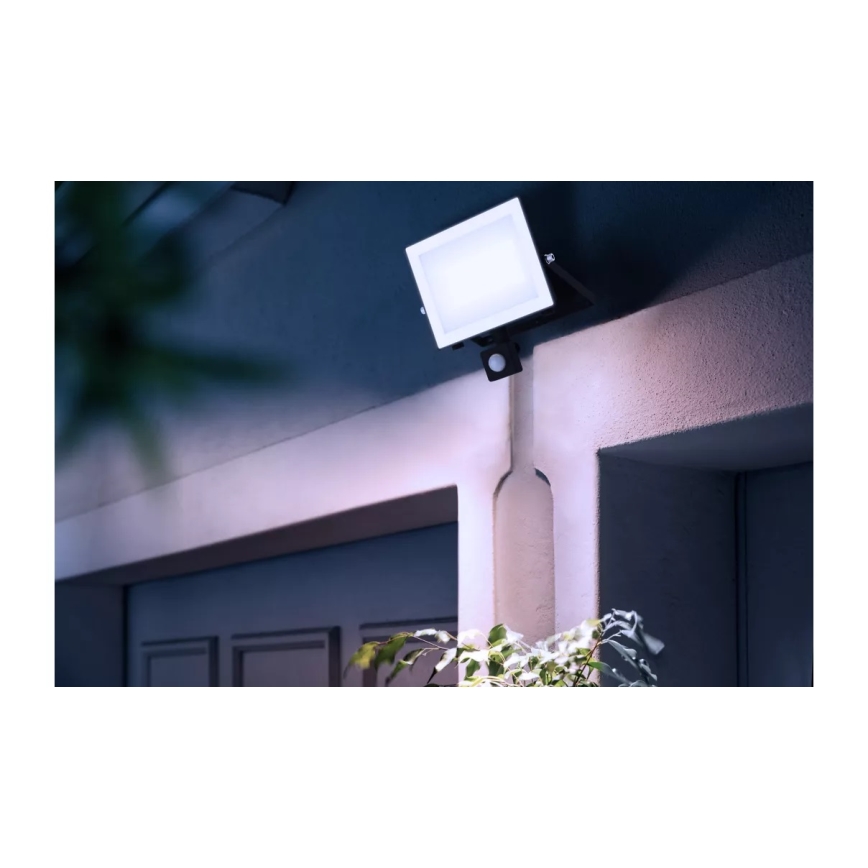 Philips - LED Prožektor anduriga LOIS LED/50W/230V IP65 5000K
