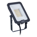 Philips - LED Prožektor LEDINAIRE ALL-IN LED/50W/230V 3000/4000/6500K IP65 antratsiit