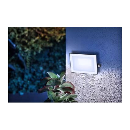 Philips - LED Prožektor LOIS LED/20W/230V IP65 5000K