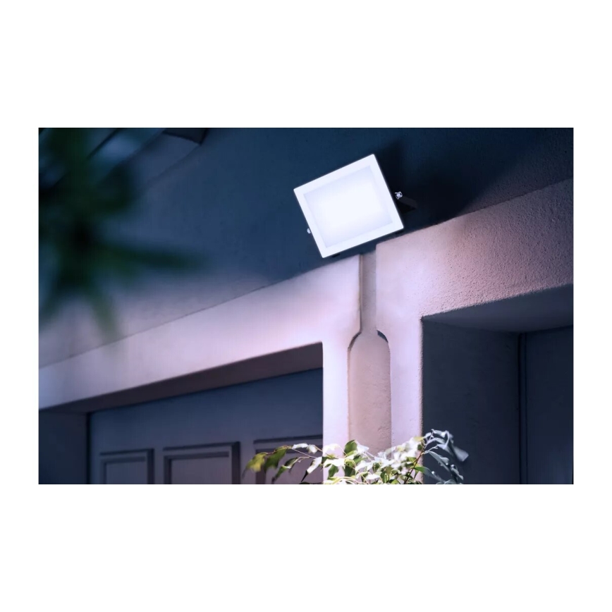 Philips - LED Prožektor LOIS LED/50W/230V IP65 5000K