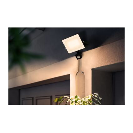 Philips - LED-reflektor anduriga LOIS LED/30W/230V IP65 3000K