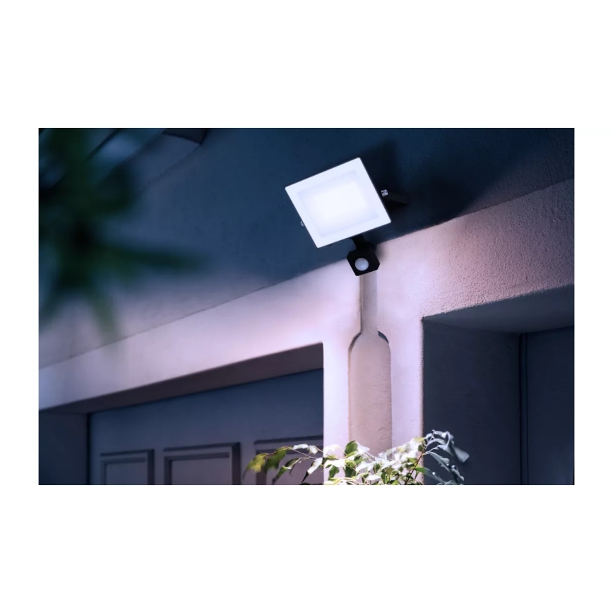 Philips - LED Reflektor anduriga LOIS LED/30W/230V IP65 5000K