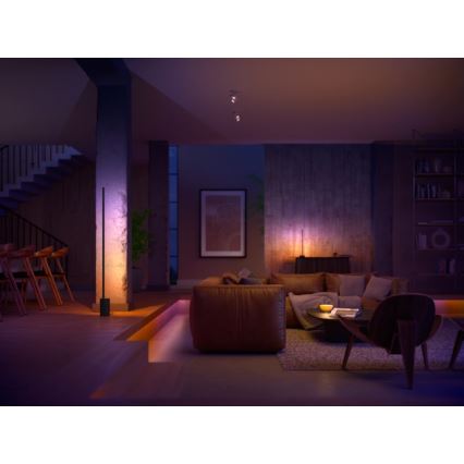 Philips - LED RGB Hämardatav laualamp Hue SIGNE LED/12W/230V 2000-6500K must