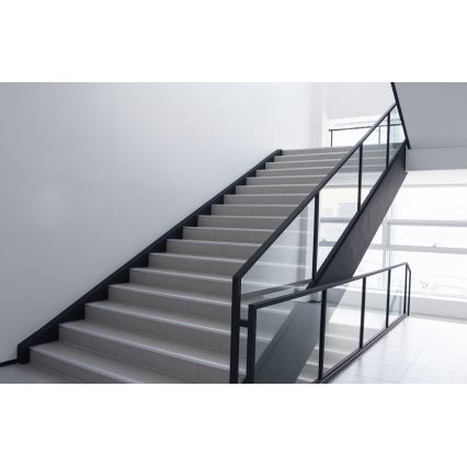 Philips - LED Seinavalgusti PROJECTLINE LED/15W/230V IP65