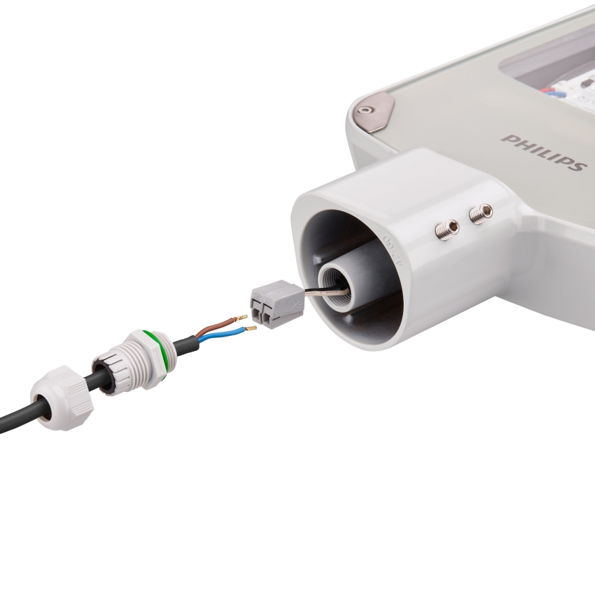 Philips - LED Tänavalamp CORELINE MALAGA LED/47W/230V 4000K IP65