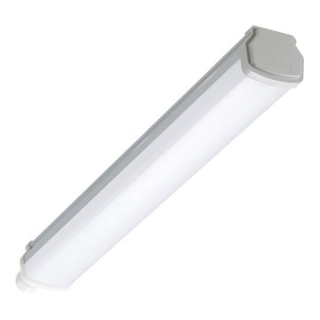 Philips - LED tehniline ribalamp LEDINAIRE LED/15W/230V 60 cm IP66