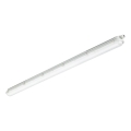 Philips - LED tehniline ribavalgusti CORELINE LED/37,5W/230V 150 cm IP66