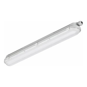 Philips - LED tehniline toruvalgusti CORELINE LED/25W/230V 120 cm IP66