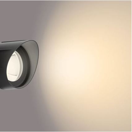 Philips - LED Väli kohtvalgusti LED/24W/230V 2700K IP44