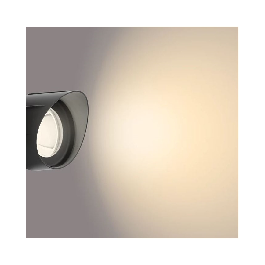 Philips - LED Väli kohtvalgusti LED/24W/230V 2700K IP44