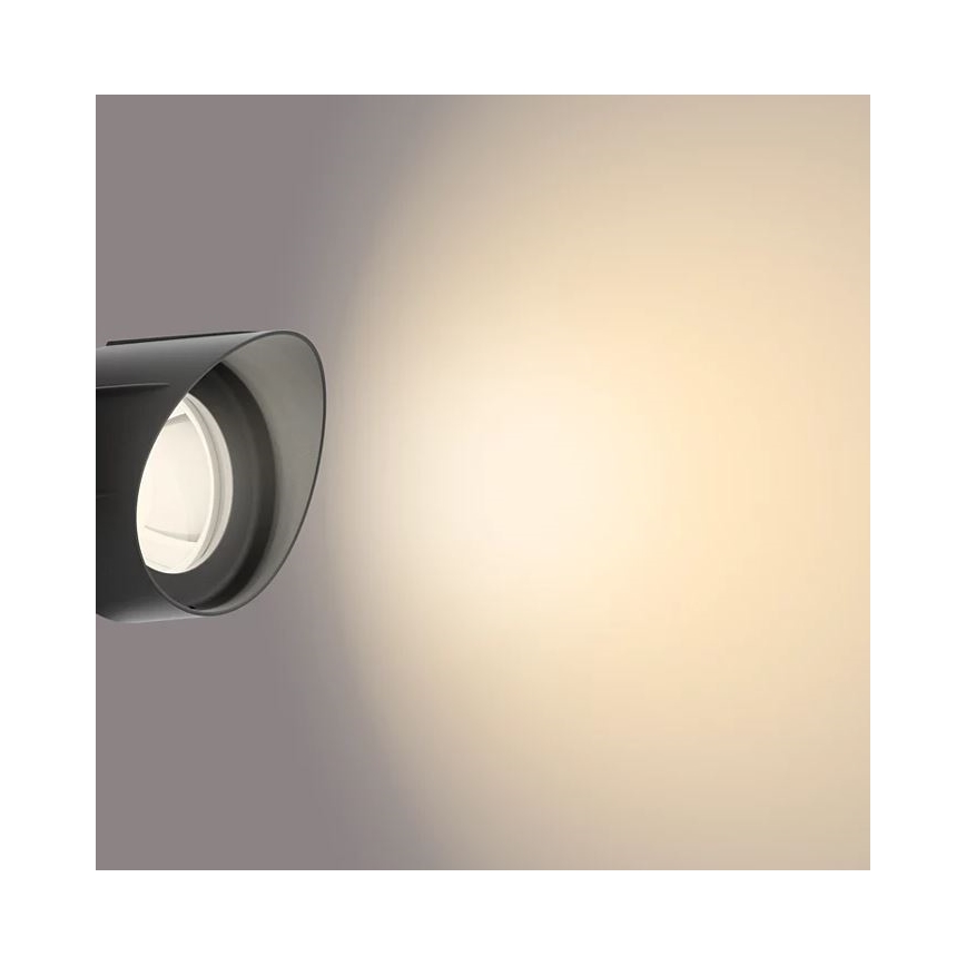 Philips - LED Väli kohtvalgusti LED/6W/12V 2700K IP44