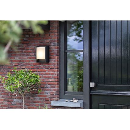 Philips - LED Väli seinavalgusti ARBOUR LED/3,8W/230V 2700K IP44