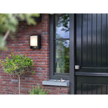 Philips - LED Väli seinavalgusti koos anduriga ARBOUR LED/3,8W/230V 2700K IP44