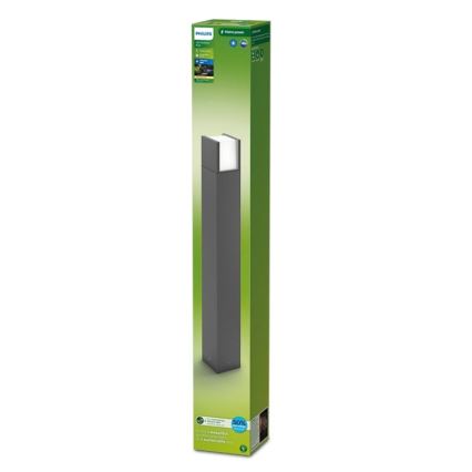 Philips - LED Välivalgusti ARBOUR LED/3,8W/230V 77 cm 2700K IP44