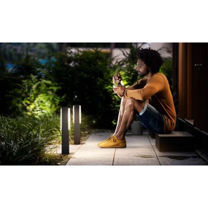 Philips - LED Välivalgusti STRATOSPHERE LED/3,8W/230V 42 cm 2700K IP44