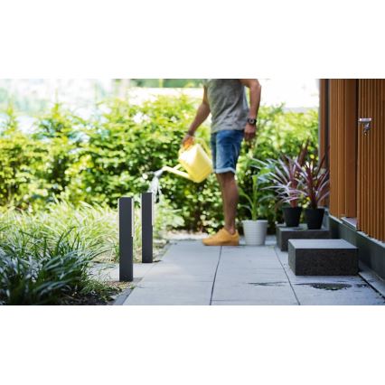 Philips - LED Välivalgusti STRATOSPHERE LED/3,8W/230V 42 cm 2700K IP44