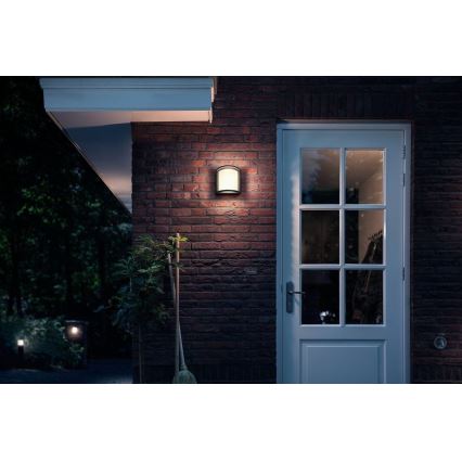 Philips Massive - LED Väli seinavalgusti LED/12W/230V IP44