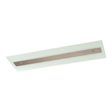 Philips Massive 85115/14/31 - Ceiling attached hele DECOLINE 2xG5/14W/230V