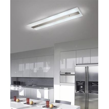 Philips Massive 85115/14/31 - Ceiling attached hele DECOLINE 2xG5/14W/230V