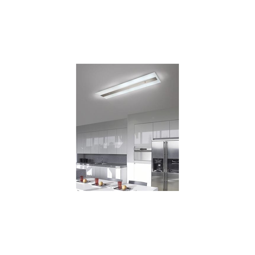 Philips Massive 85115/14/31 - Ceiling attached hele DECOLINE 2xG5/14W/230V