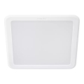 Philips - MESON LED-süvistatav laevalgusti 13W/230V 4000K 14x14 cm